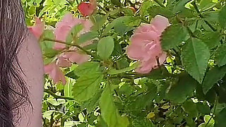 Stepmoms Sweet Treat