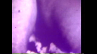 Bella the Night of Whores