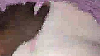 Gaping Anal Latina Wife Takes BBC pp