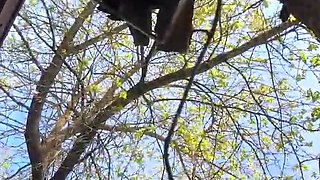 Horny brunette slut takes hard anal pounding outdoor live at