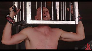 restrained submissive with his head in a cage