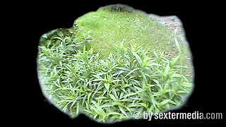 Millonaire's Stepdaughter From Wiesbaden