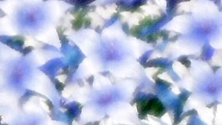 Watch randy bedmate's clip