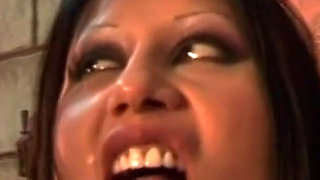 The Castle of Pleasure