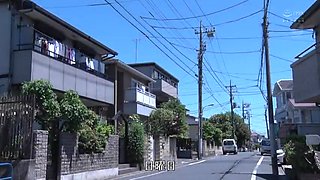IJK349-ICQVGUPJXQ243863598