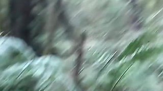 We Have Sex in the Garden of Eden and Nearly Got Caught