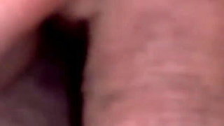 Insemination at User Meetings