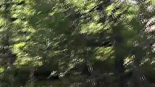 Fucking chastity in nature