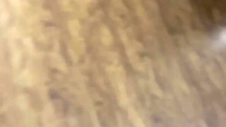 Gold Sheet Bang