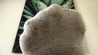 Smell My Stinky Socks, Directly From the Sneakerx, You Foot Sniffer!