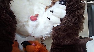 Amateur hooker pounded hardcore in her slit in the sex bus