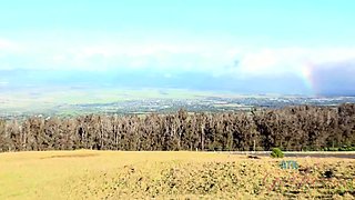 Small tit brunette amateur tugs on a big willie