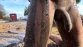 Extreme ballbusting in the mud Miss Eva Ray