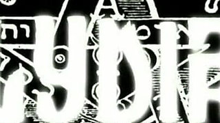 Trailer 354