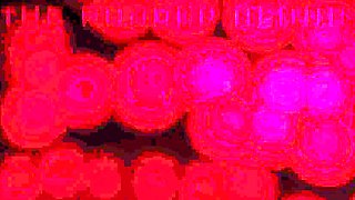 Femdom fetish bdsm mistress hoes