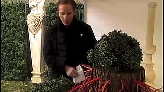 Blow Job at the Wedding Party