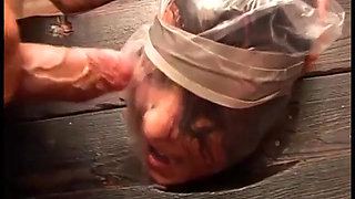 Cute girl roughly fucked in the pillory