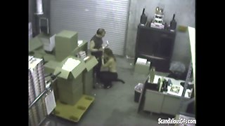 Couple blowjob in warehouse