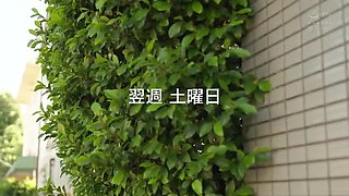 337-wyhhu-towith-youare-aaa