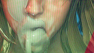 Next Animation Fluid Simulation Wup