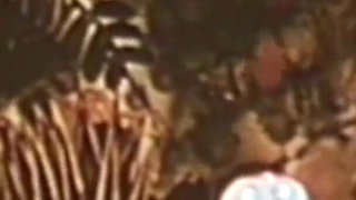 Animated Pervert (part 2)