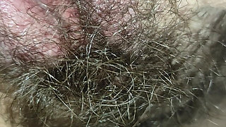 Hairy ass and pussy tour