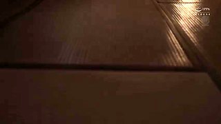 x1x5A53F97D8C4ED758E1