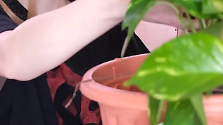 Peeing While Repotting