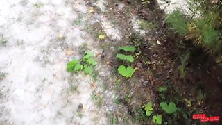 A Stranger Fucked Me In The Woods And Came In My Pussy