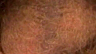 Yeah the Fucking Pig