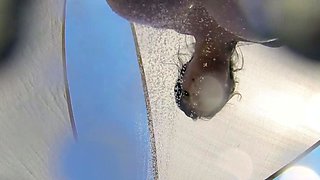 Perfect Pussy Close up milf Selda