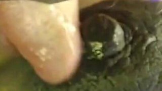 BBW Desi Live