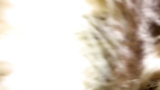 Glamour sugar baby's amateur movie