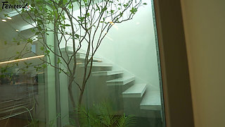 The Son-in-law Lusts for His Mother-in-law, While I Covet Another Man's Wife