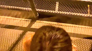 Sex on a Public Bridge and in the Drive Thru