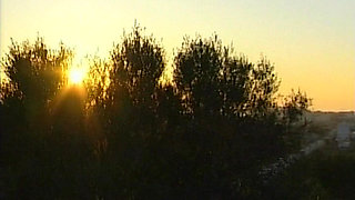 The Holiday Is for Fucking - Small Pussy Fucked by the Beach House