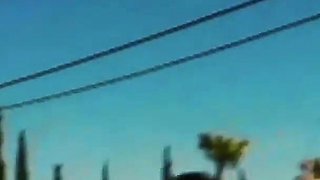 Ashleah Takes a Huge Bareback Cock Deep Inside Her Pussy