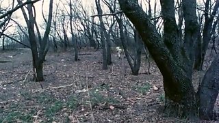 Vintage Old On Young Blowjob Porn Clip With Old Vintage