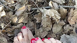 Melove Sexy Small Feet with Red Toe Nails in Leaves