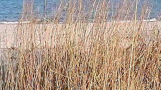 Couple Caught on Camera Having Sex on the Beach