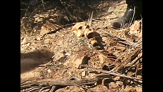 Sunrise and Olivia of Gozonas (film)