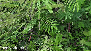 Outdoor Piss