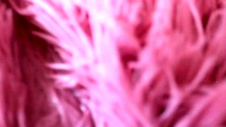 Perfect Pussy Close up milf Selda