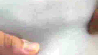 732388431