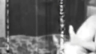 The Gozona Pig Gets Milk