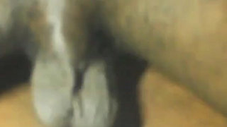 Local Amateur Lovers Interact Naked and Pussyfucked Hardcore on Floor Sex, BBW and BBC