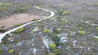 Golden Showers Pissings and Pee on Holiday Part1