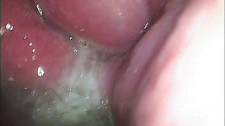 Impregnation Fantasy Cam