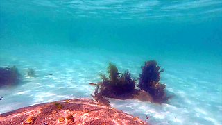 The most erotic cunt masturbation