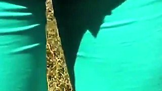 Amateur Latina Brunette Cameltoe Outdoors